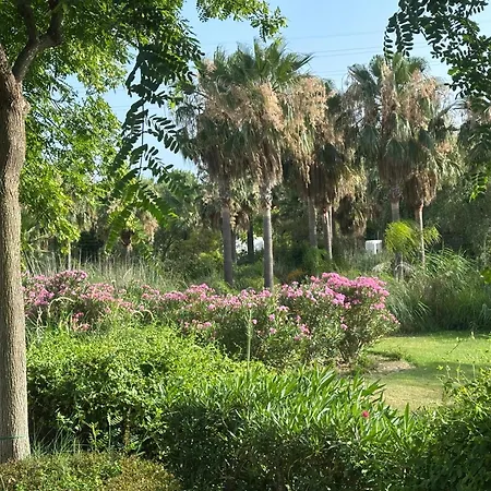 Alcazaba Blue Lagoon 3 Bedroom, Ground Floor エステポナ